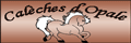 /img/reseauTC/logo_topsoschevaux.gif
