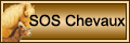 bouton1.gif